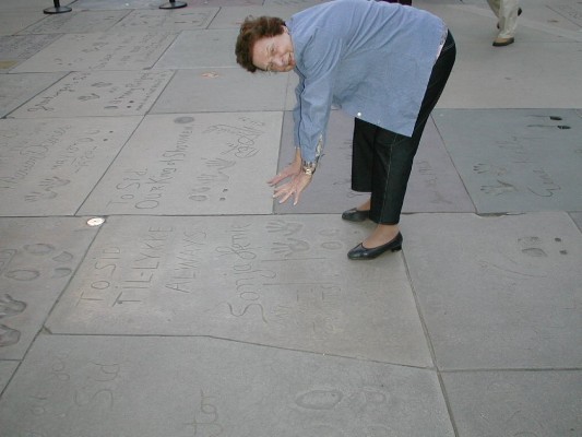 Hollywood Walk of Fame.JPG